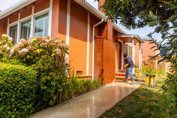 Best Pressure Washing Services Near Me  in Cannelton, IN